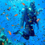 galapagos_scuba_diving