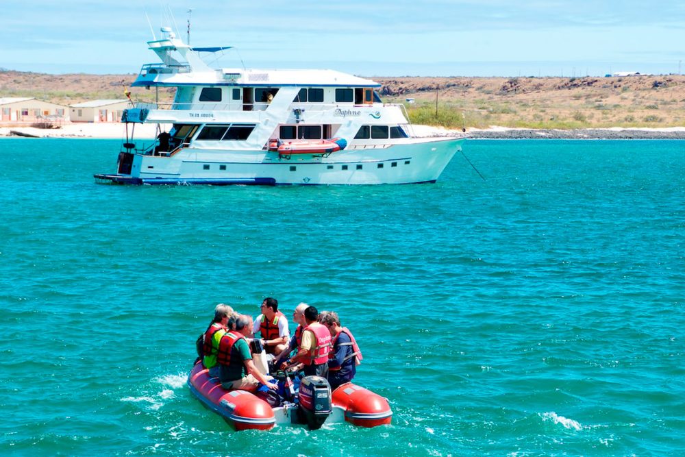 daphne cruise in galapagos islands deals