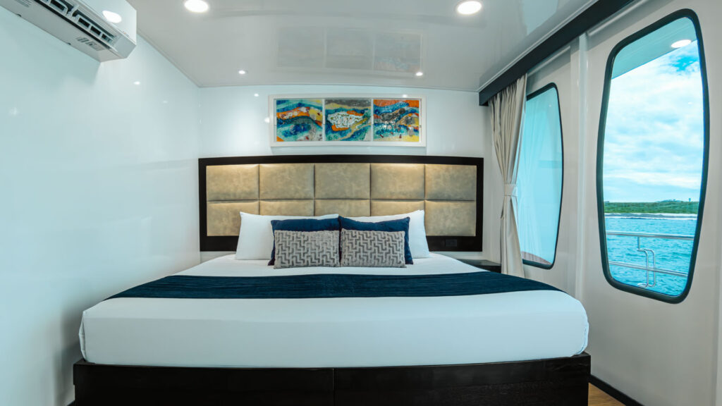 browser-download-20261009T232041.494926513Z-10-galaxy-alya-master-cabin-bed